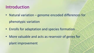 Introduction
• Natural variation – genome encoded differences for
phenotypic variation
• Enrolls for adaptation and species formation
• More valuable and acts as reservoir of genes for
plant improvement
 