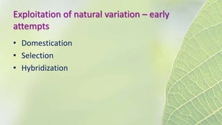 Exploitation of natural variation – early
attempts
• Domestication
• Selection
• Hybridization
 