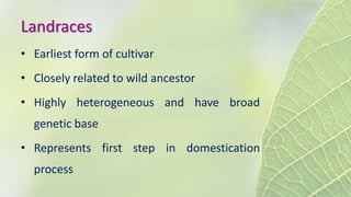 Landraces
• Earliest form of cultivar
• Closely related to wild ancestor
• Highly heterogeneous and have broad
genetic base
• Represents first step in domestication
process
 