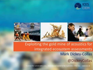 Exploiting the gold mine of acoustics for
integrated ecosystem assessments
Mark Dickey-Collas
@DickeyCollas
 