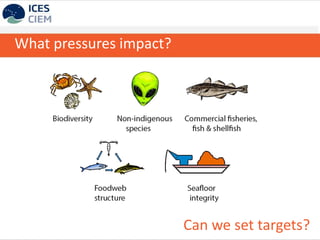 What pressures impact?
Can we set targets?
 