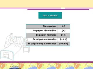 Exploración física Clínica de Cardiología Pulso arterial No se palpan  (-)  Se palpan disminuidos  (+)  Se palpan normales  (++)  Se palpan aumentados  (+++)  Se palpan muy aumentados  (++++)  