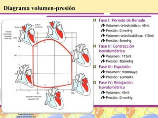 Diagrama volumen-presión Fase I: Periodo de llenado Volumen telesistólico: 45ml Presión: 0 mmHg Volumen telediastólico: 115ml Presión: 5mmHg Fase II: Contracción   isovolumétrica Volumen: 115ml Presión: 80mmHg Fase III: Expulsión Volumen: disminuye Presión: aumenta Fase IV: Relajación isovolumétrica Volumen: 45ml Presión: 0 mmHg Exploración física Clínica de Cardiología 