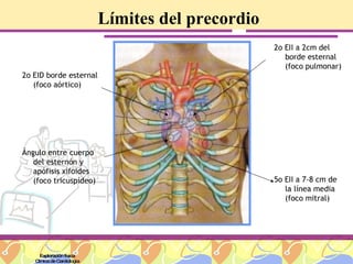 Límites del precordio 2o EID borde esternal (foco aórtico) Ángulo entre cuerpo del esternón y apófisis xifoides (foco tricuspídeo) 2o EII a 2cm del borde esternal (foco pulmonar) 5o EII a 7-8 cm de la línea media (foco mitral) Exploración física Clínica de Cardiología 