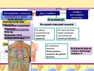 Exploración física Clínica de Cardiología inspección Deformidades torácicas Ápex cardiaco Latidos precordiales anormales Abombamiento área precordial Tórax en quilla Cardiopatías congénitas Enfermedades adquiridas Sx de Marfan No se observa… Pectorales musculosos Obesidad Mamas Estenosis mitral Estado de choque Si se observa… 5o espacio intercostal izquierdo Por abajo: crecimiento de  ventrículo izquierdo Por fuera de línea media clavidular: crecimiento de  ventrículo derecho En hemitórax derecho: Dextrocardia o ausencia de pulmón derecho Si el área del ápex es >2.5cm= sobrecarga diastólica VI 