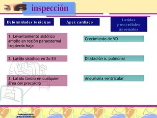 Exploración física Clínica de Cardiología Deformidades torácicas Ápex cardiaco Latidos precordiales anormales 1. Levantamiento sistólico amplio en región paraesternal izquierda baja 2. Latido sistólico en 2o EII 3. Latido tardío en cualquier área del precordio Crecimiento de VD Dilatación a. pulmonar Aneurisma ventricular inspección 