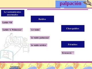Exploración física Clínica de Cardiología Levantamientos anormales Latido VD Latido A. Pulmonar Ruidos Chasquidos 1er ruido 2o ruido pulmonar 2o ruido aórtico Frémitos Estenosis palpación 