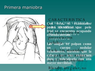 Primera maniobra Con ésta, el examinador podrá identificar que polo fetal se encuentra ocupando el fondo uterino. Las nalgas se palpan como un cuerpo nodular voluminoso, mientras que la cabeza es una estructura dura y redondeada con una mayor movilidad.   ¿PARA QUE SIRVE LA 1RA MANIOBRA? Sirve para inferir o sospechar la presentacion CARACTERISTICAS... Se encuentra en presentacion cefalica En la 1ra maniobra se palpan las nalgas en el fondo uterino... Blando, irregular, no existe rebote 