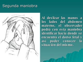 Segunda maniobra Al deslizar las manos a los lados del abdomen materno, el observador podrá con esta maniobra identificar hacia donde se encuentra el dorso fetal y así poder conocer la situación del mismo.   