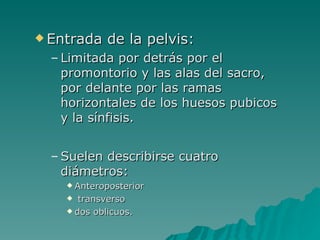 Entrada de la pelvis:  Limitada por detrás por el promontorio y las alas del sacro, por delante por las ramas horizontales de los huesos pubicos y la sínfisis. Suelen describirse cuatro diámetros: Anteroposterior transverso dos oblicuos. 
