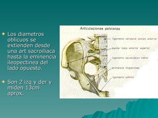 Los diametros oblicuos se extienden desde una art sacroiliaca hasta la eminencia ileopectinea del lado opuesto. Son 2 izq y der y miden 13cm aprox. 