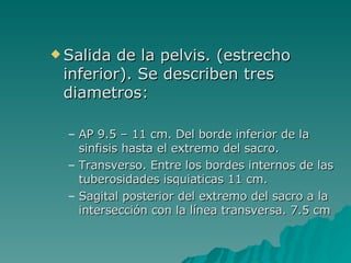 Salida de la pelvis. (estrecho inferior). Se describen tres diametros:  AP 9.5 – 11 cm. Del borde inferior de la sinfisis hasta el extremo del sacro. Transverso. Entre los bordes internos de las tuberosidades isquiaticas 11 cm. Sagital posterior del extremo del sacro a la intersección con la línea transversa. 7.5 cm 