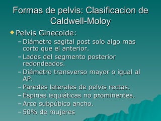 Formas de pelvis: Clasificacion de Caldwell-Moloy Pelvis Ginecoide: Diámetro sagital post solo algo mas corto que el anterior. Lados del segmento posterior redondeados. Diámetro transverso mayor o igual al AP. Paredes laterales de pelvis rectas. Espinas isquiáticas no prominentes. Arco subpúbico ancho. 50% de mujeres 