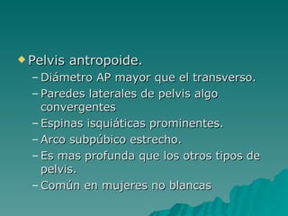 Pelvis antropoide. Diámetro AP mayor que el transverso. Paredes laterales de pelvis algo convergentes Espinas isquiáticas prominentes. Arco subpúbico estrecho. Es mas profunda que los otros tipos de pelvis. Común en mujeres no blancas 