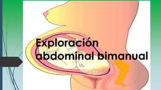 Exploración
abdominal bimanual
 