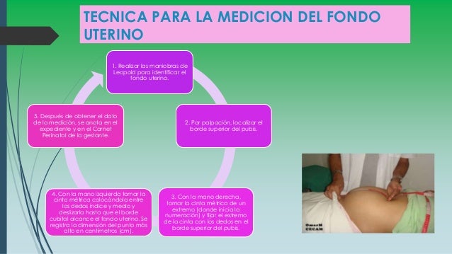 Exploración abdominal bimanual