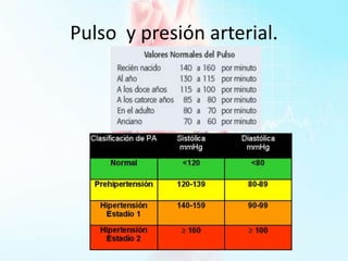 Pulso y presión arterial.
 