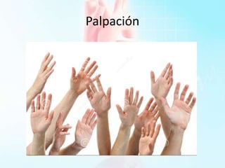 Palpación
 