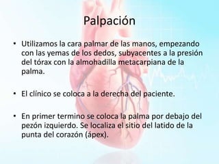 Palpación
• Utilizamos la cara palmar de las manos, empezando
con las yemas de los dedos, subyacentes a la presión
del tórax con la almohadilla metacarpiana de la
palma.
• El clínico se coloca a la derecha del paciente.
• En primer termino se coloca la palma por debajo del
pezón izquierdo. Se localiza el sitio del latido de la
punta del corazón (ápex).
 