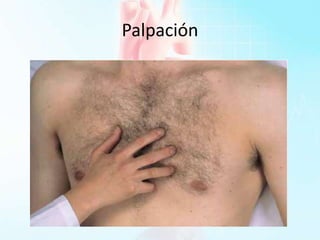 Palpación
 