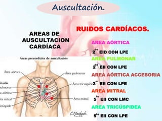 RUIDOS CARDÍACOS.
AREAS DE
AUSCULTACION
CARDÍACA
AREA AÓRTICA
AREA PULMONAR
AREA AÓRTICA ACCESORIA
AREA MITRAL
AREA TRICÚSPIDEA
2 EID CON LPE
2 EII CON LPE
3 EII CON LPE
5 EII CON LMC
5 EII CON LPE
do
do
er
to
to
Auscultación.
 