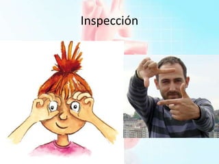 Inspección
 