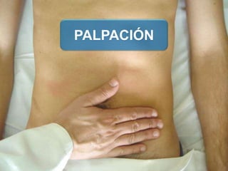PALPACIÓN