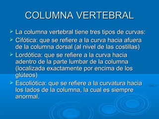 COLUMNA VERTEBRAL
   La columna vertebral tiene tres tipos de curvas:
   Cifótica: que se refiere a la curva hacia afuera
    de la columna dorsal (al nivel de las costillas)
   Lordótica: que se refiere a la curva hacia
    adentro de la parte lumbar de la columna
    (localizada exactamente por encima de los
    glúteos)
   Escoliótica: que se refiere a la curvatura hacia
    los lados de la columna, la cual es siempre
    anormal.
 