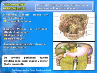 La cavidad peritoneal queda
dividida en los sacos mayor y menor
(bolsa omental).
Semiología Médica Pedro Cossio año 2004
 