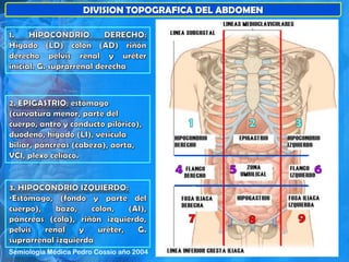DIVISION TOPOGRAFICA DEL ABDOMEN
Semiología Médica Pedro Cossio año 2004
 