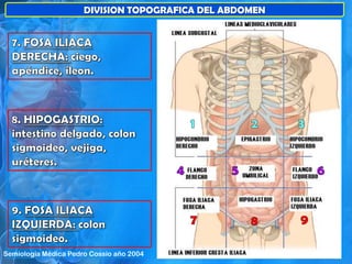 DIVISION TOPOGRAFICA DEL ABDOMEN
Semiología Médica Pedro Cossio año 2004
 