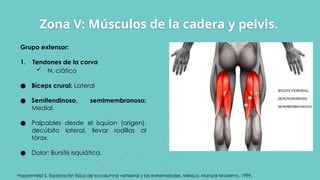 Exploración física de cadera, rehabilitación pptx | PPTX