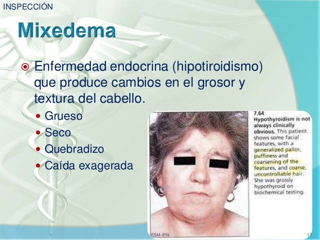 Los aceites naturales para la reconstitución de los cabello