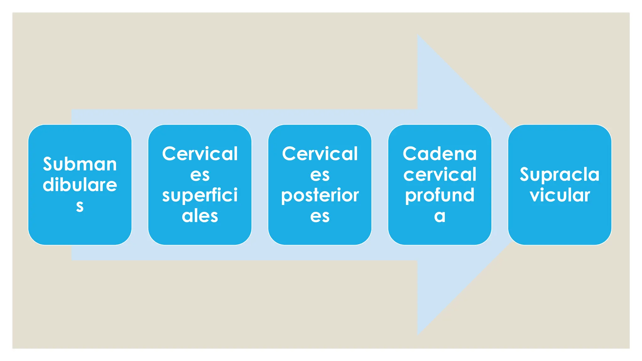 Subman
dibulare
s
Cervical
es
superfici
ales
Cervical
es
posterior
es
Cadena
cervical
profund
a
Supracla
vicular
 
