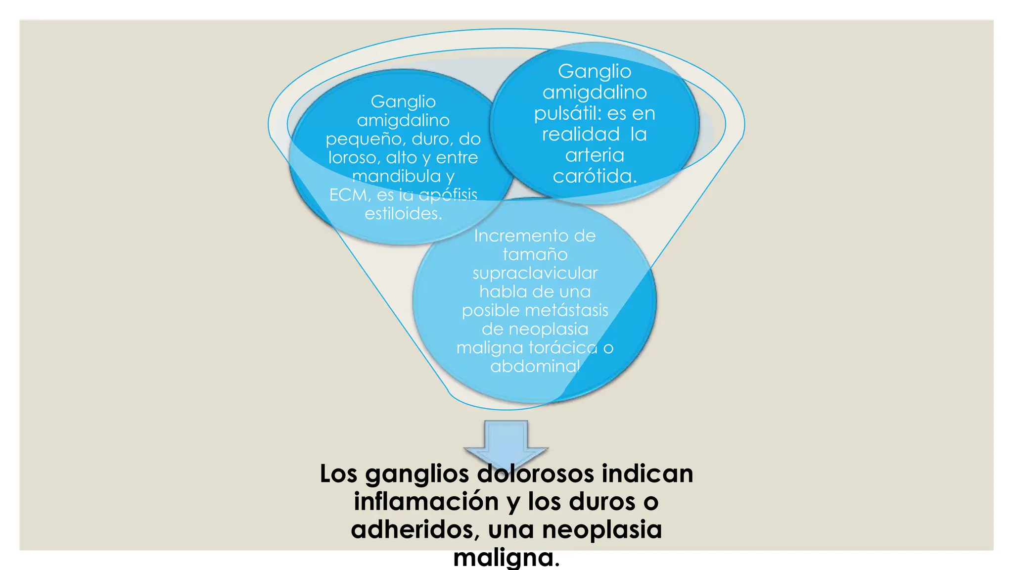 Los ganglios dolorosos indican
inflamación y los duros o
adheridos, una neoplasia
maligna.
Incremento de
tamaño
supraclavicular
habla de una
posible metástasis
de neoplasia
maligna torácica o
abdominal
Ganglio
amigdalino
pequeño, duro, do
loroso, alto y entre
mandibula y
ECM, es la apófisis
estiloides.
Ganglio
amigdalino
pulsátil: es en
realidad la
arteria
carótida.
 