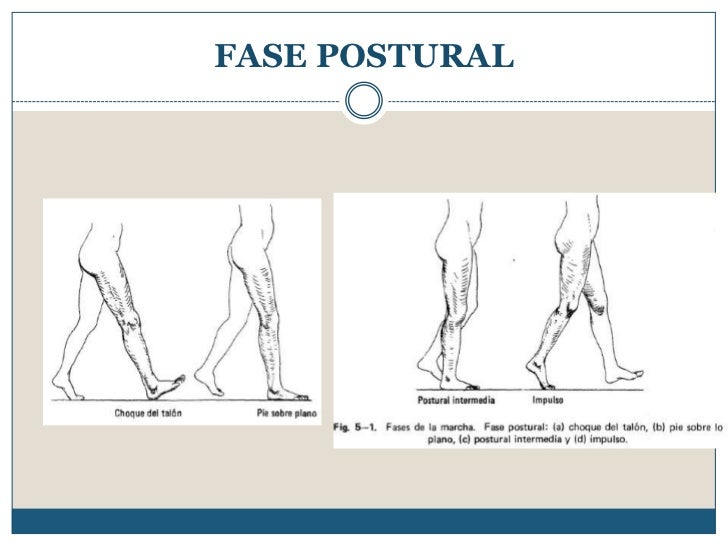 Exploración de la marcha