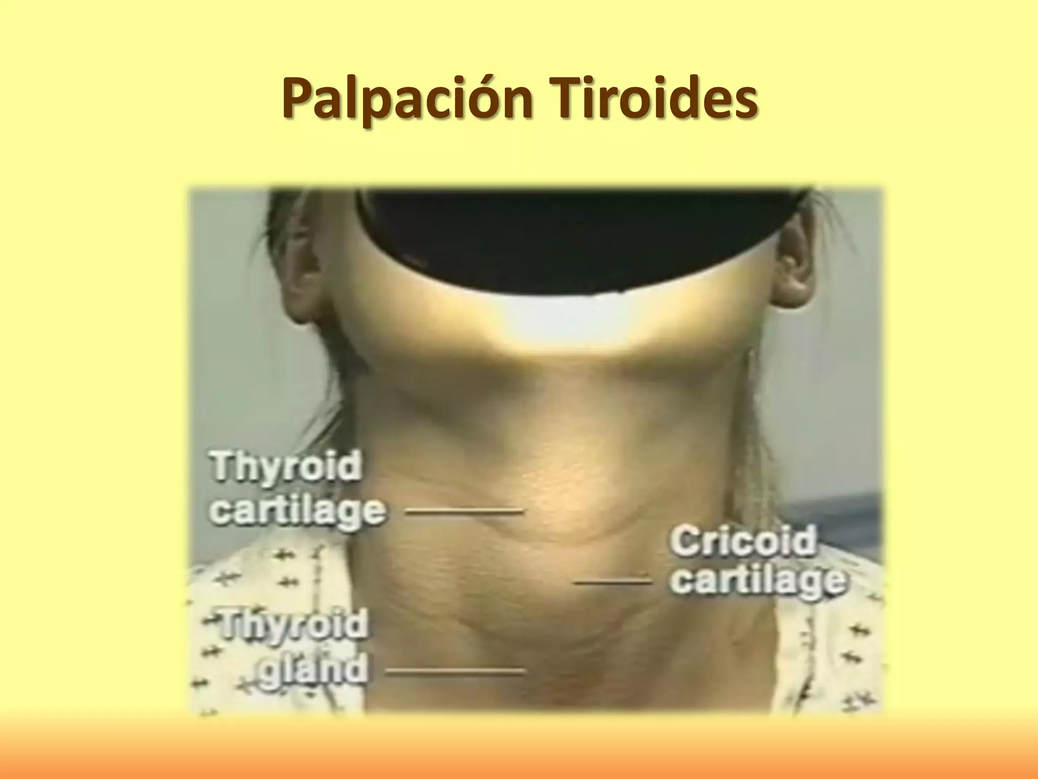 Palpación Tiroides