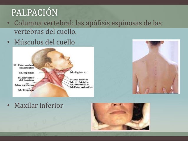La gimnasia para el departamento de pecho a la osteocondrosis