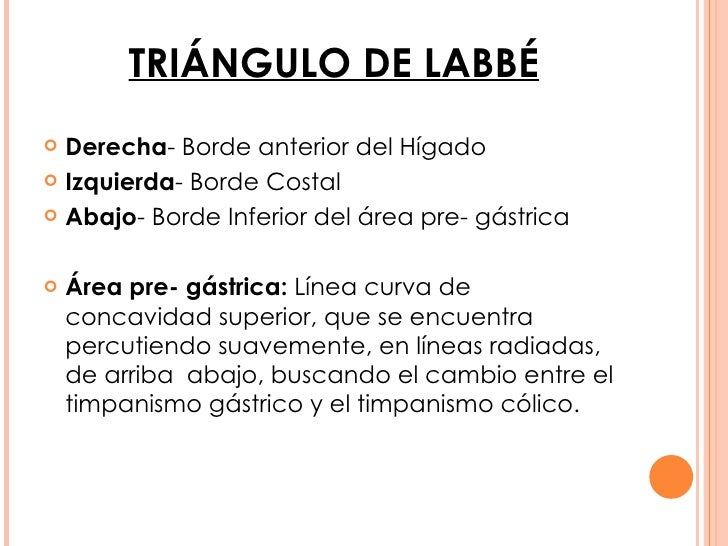 Exploración del estómago