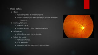  Disco óptico. 
 Color. 
 Rojizo con palidez de mitad temporal. 
 Excavación fisiológica (<30% y no llegar a borde temporal). 
 Glaucoma. 
 Forma y tamaño. 
 Redonda u oval. 
 Diámetro de 1.5 a 1.7mm. Diámetro de disco. 
 Márgenes. 
 Nítidos. Borde nasal menos definido 
 Salida de vasos. 
 ACR se dicotomiza. 
 La VCR es similar. 
 Las arterias son mas delgadas (2:3) y rojo claro. 
 