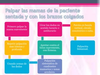 Girar los dedos en    Patrón en banda
Primero palpar la
                    sentido horario o      vertical, circulo
mama suavemente
                       antihorario       concéntrico o cuña.




Repetir palpación
                     Apretar contra el
 mas intensa y                               Palpación
                    tórax suavemente,
   profunda                                  bimanual.
                       con firmeza.



                        Palpación
Usando yemas de      sistemática de
   los dedos           cuadrantes
                    mamarios y zonas
                        areolares.
 