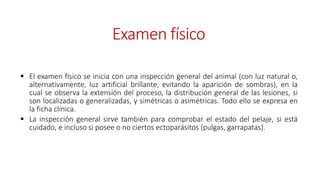 Examen físico
 El examen físico se inicia con una inspección general del animal (con luz natural o,
alternativamente, luz artificial brillante, evitando la aparición de sombras), en la
cual se observa la extensión del proceso, la distribución general de las lesiones, si
son localizadas o generalizadas, y simétricas o asimétricas. Todo ello se expresa en
la ficha clínica.
 La inspección general sirve también para comprobar el estado del pelaje, si está
cuidado, e incluso si posee o no ciertos ectoparásitos (pulgas, garrapatas).
 