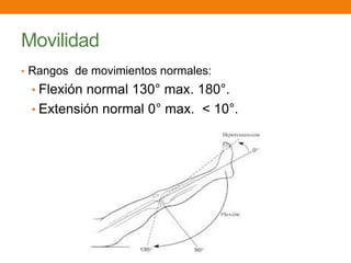 Movilidad
• Rangos de movimientos normales:
• Flexión normal 130° max. 180°.
• Extensión normal 0° max. < 10°.
 