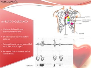 AUSCULTACIÓN




1er RUIDO CARDIACO

• Al cierre de las válvulas
  auriculoventriculares

• Delimita el inicio de la sístole
  acústica

• Se ausculta con mayor intensidad
  en el foco mitral (ápex)

• Es menos claro e intenso en los
  demás focos




                               ESM-IPN   102
 