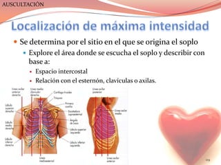 AUSCULTACIÓN




    Se determina por el sitio en el que se origina el soplo
       Explore el área donde se escucha el soplo y describir con
        base a:
           Espacio intercostal
           Relación con el esternón, clavículas o axilas.




                       ESM-IPN                                      119
 