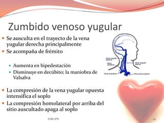 Zumbido venoso yugular
 Se ausculta en el trayecto de la vena
  yugular derecha principalmente
 Se acompaña de frémito

    Aumenta en bipedestación
    Disminuye en decúbito; la maniobra de
     Valsalva

 La compresión de la vena yugular opuesta
  intensifica el soplo
 La compresión homolateral por arriba del
  sitio auscultado apaga al soplo
                    ESM-IPN                  131
 