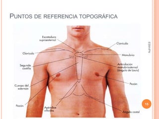 PUNTOS DE REFERENCIA TOPOGRÁFICA




                                    ESM-IPN
                                   15
 
