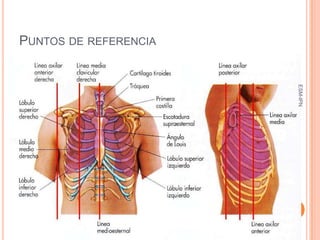 PUNTOS DE REFERENCIA




                        ESM-IPN
                       17
 