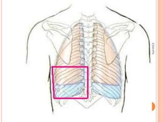 ESM-IPN
          30
 