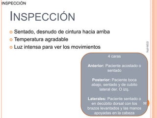 INSPECCIÓN



   INSPECCIÓN
    Sentado, desnudo de cintura hacia arriba
    Temperatura agradable




                                                                    ESM-IPN
    Luz intensa para ver los movimientos

                                              4 caras

                                   Anterior: Paciente acostado o
                                              sentado

                                     Posterior: Paciente boca
                                     abajo, sentado y de cubito
                                         lateral der. O izq.

                                   Laterales: Paciente sentado o
                                     en decúbito dorsal con los    32
                                   brazos levantados y las manos
                                       apoyadas en la cabeza
 